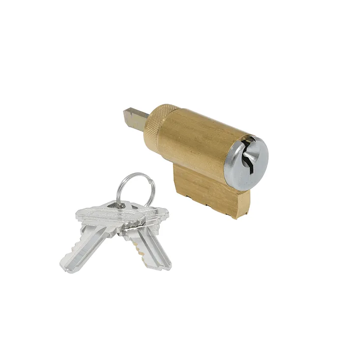 6 Pin Cylinder with 2 keys - C4 Profile